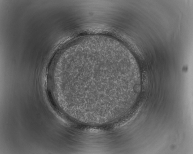 X0000116890590201001191807