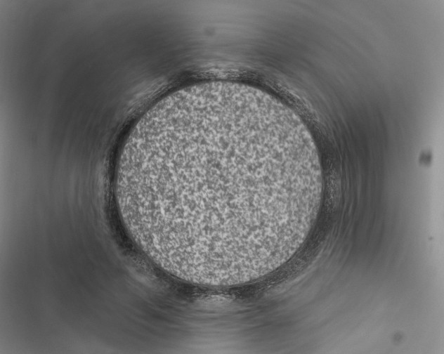 X0000116890594201001191807