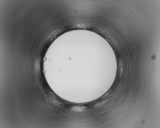 X0000116890595201001191807