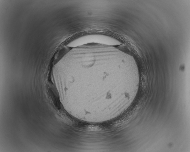 X0000116890596201001191807