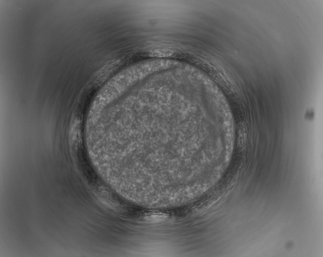 X0000116890598201001191807