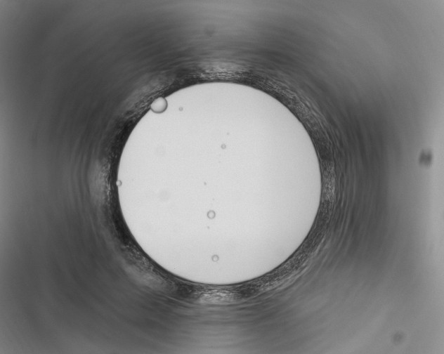 X0000116890599201001191807