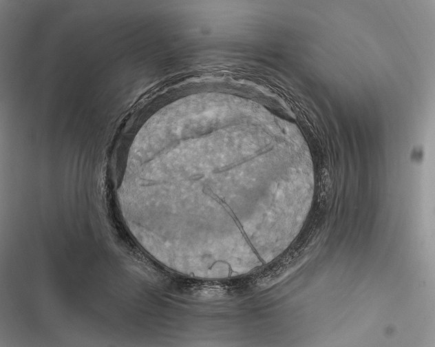 X0000116890600201001191807