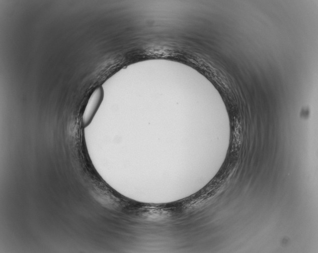 X0000116890601201001191807