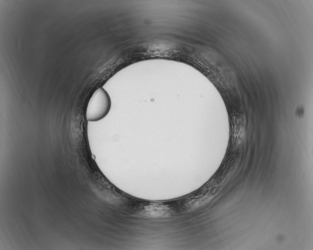 X0000116890603201001191807