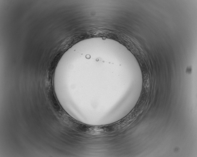 X0000116890607201001191807