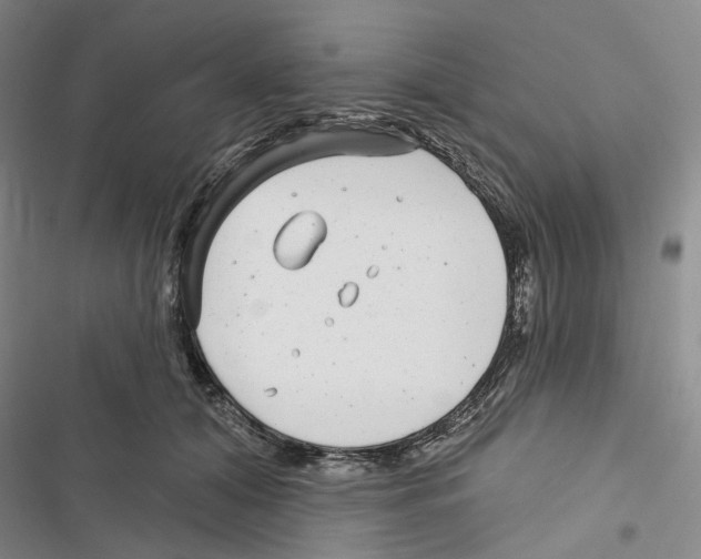 X0000116890608201001191807