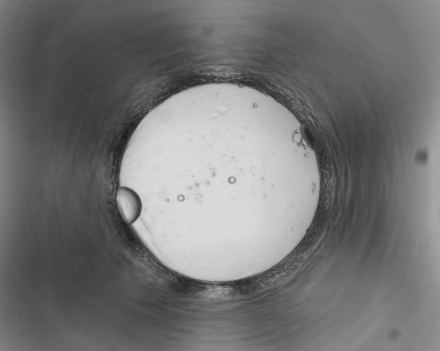 X0000116890609201001191807