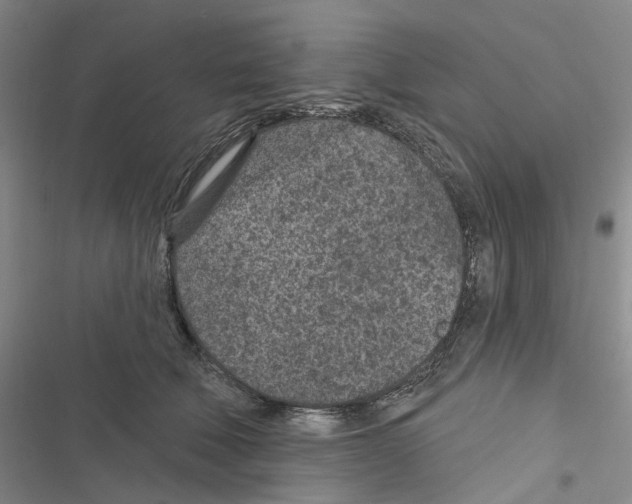 X0000116890610201001191807