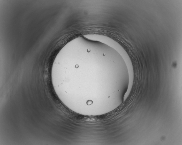 X0000116890611201001191807