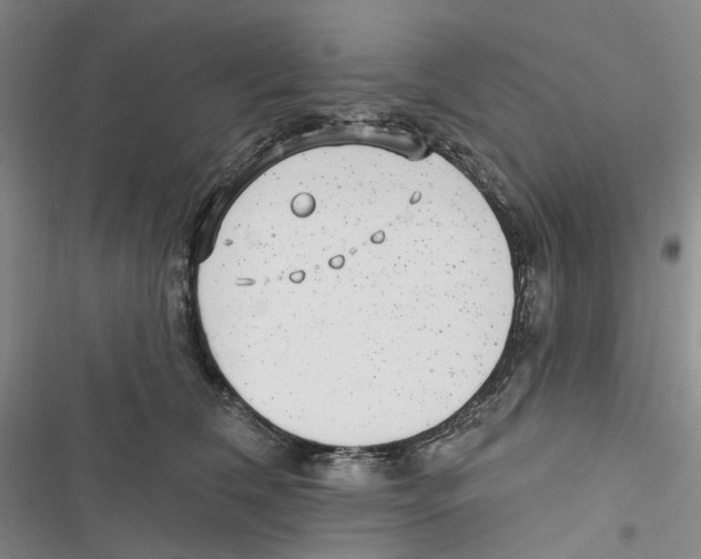 X0000116890612201001191807