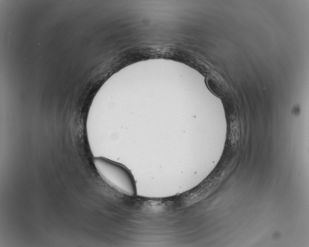 X0000116890613201001191807