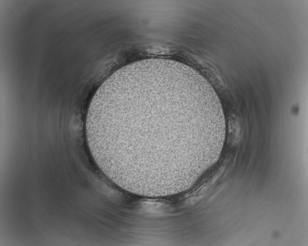 X0000116890614201001191807