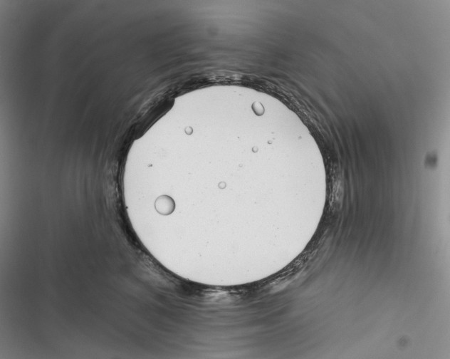 X0000116890616201001191807