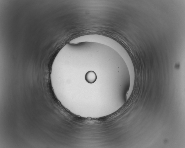 X0000116890617201001191807