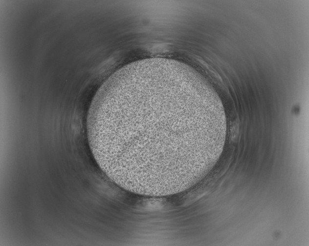 X0000116890618201001191807