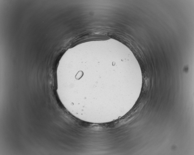 X0000116890620201001191807