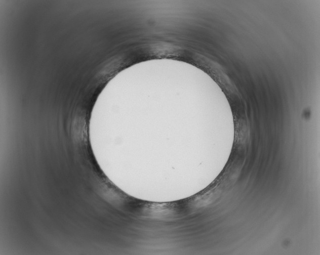 X0000116890622201001191807