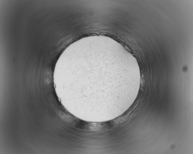 X0000116890623201001191807