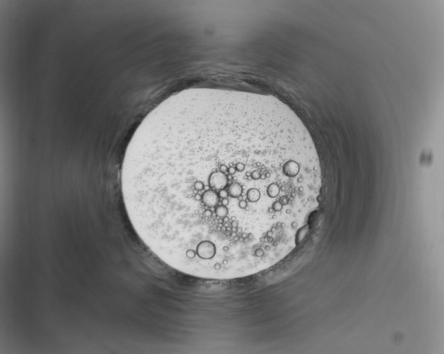 X0000116890624201001191807