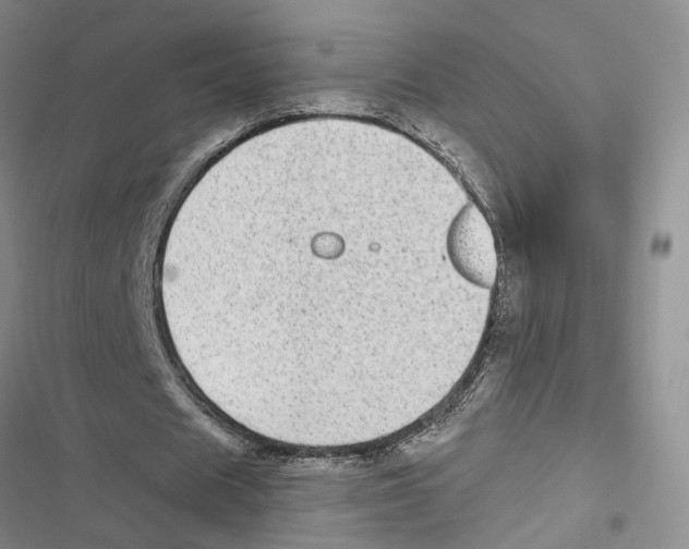 X0000116890625201001191806