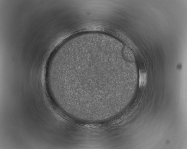 X0000116890627201001191806