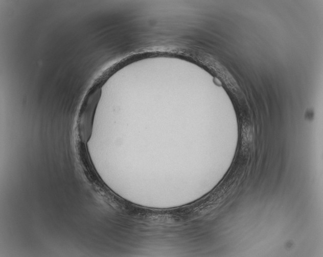 X0000116890628201001191806