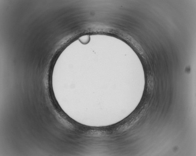 X0000116890629201001191806