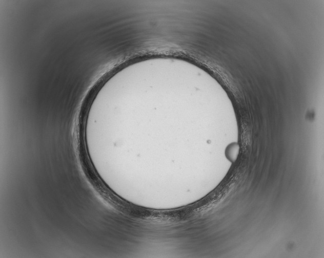 X0000116890630201001191806