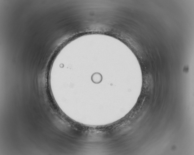 X0000116890632201001191806