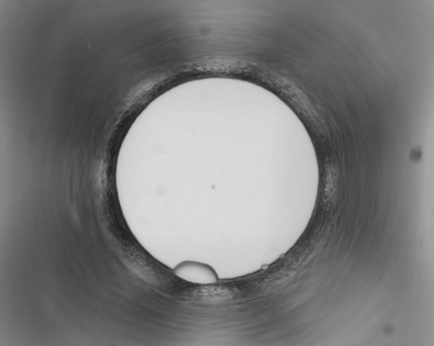 X0000116890636201001191806