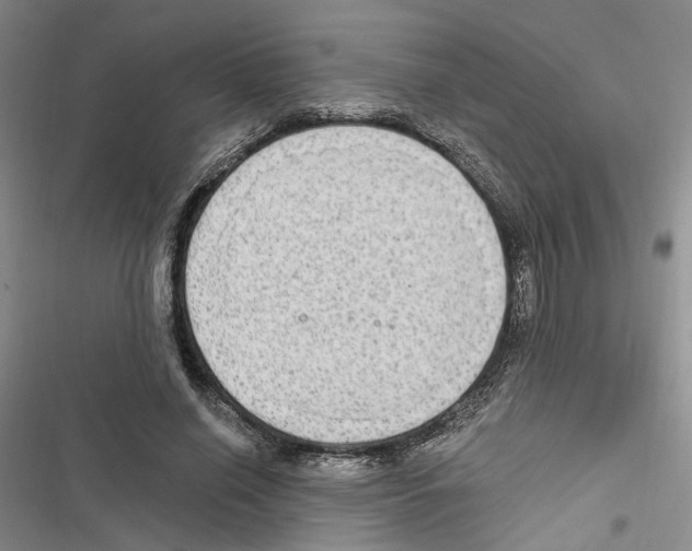 X0000116890638201001191806