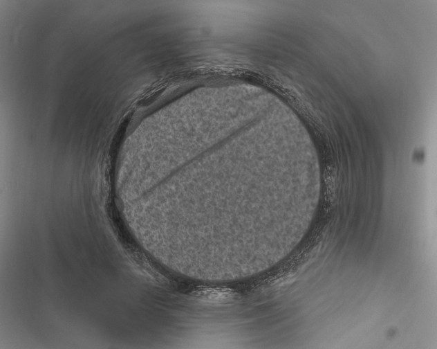 X0000116890642201001191806