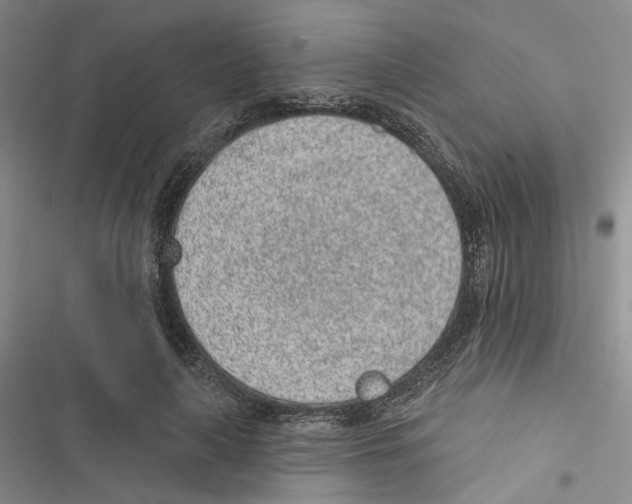 X0000116890643201001191806