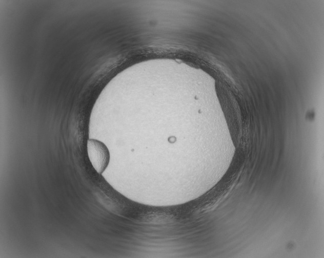 X0000116890644201001191806