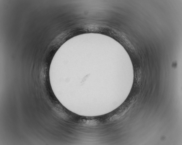 X0000116890645201001191806