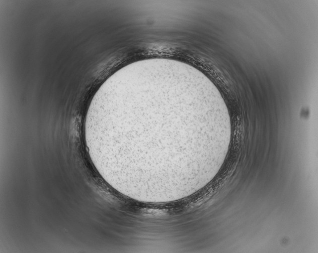 X0000116890649201001191806