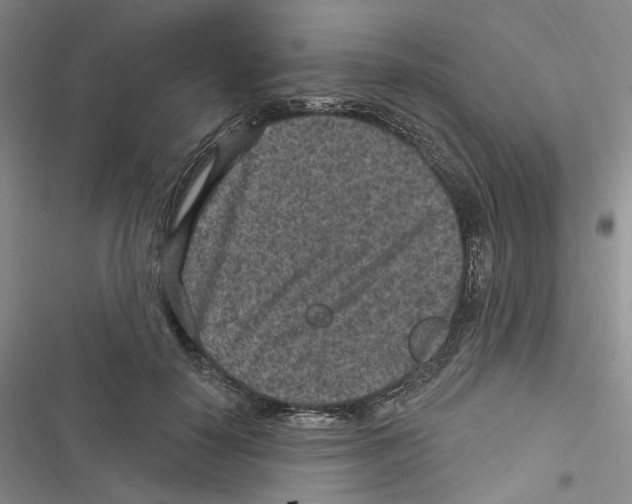 X0000116890650201001191806