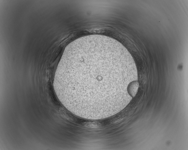 X0000116890652201001191806