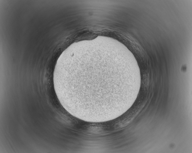 X0000116890653201001191806