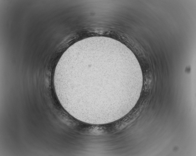 X0000116890656201001191806