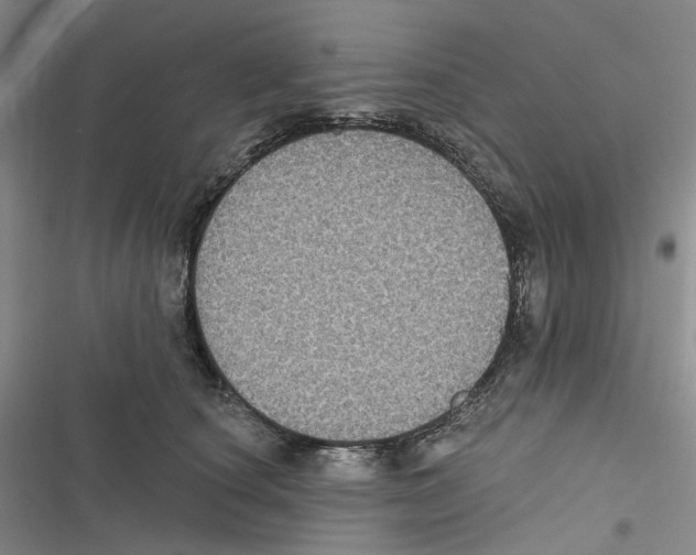 X0000116890660201001191806