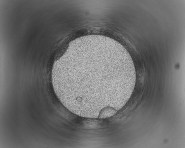 X0000116890661201001191806