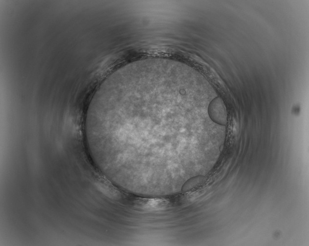 X0000116890663201001191806