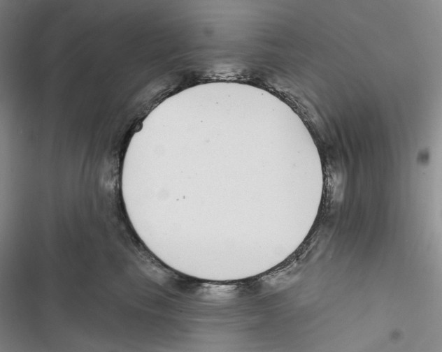 X0000116890665201001191806