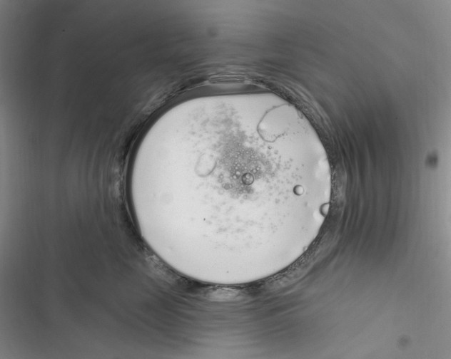 X0000116890669201001191806