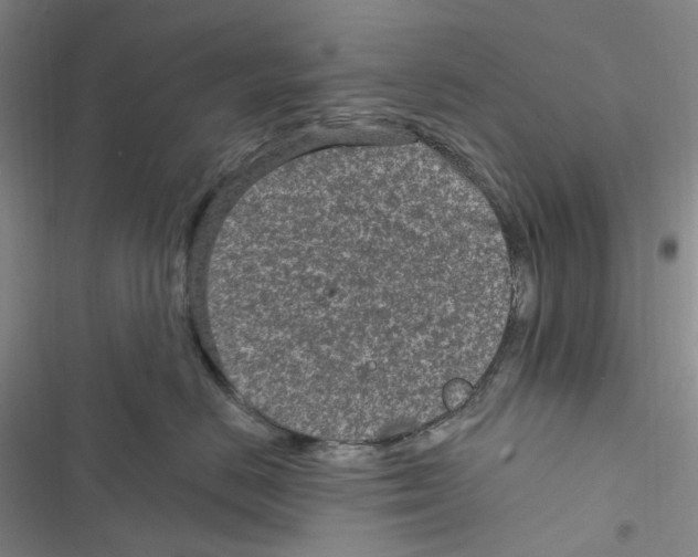 X0000116890670201001191806