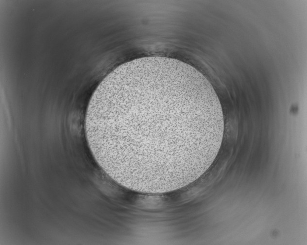 X0000116890671201001191806