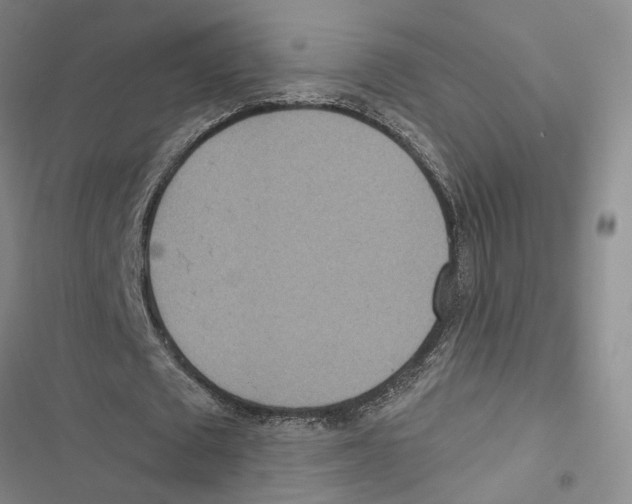 X0000116890673201001191806