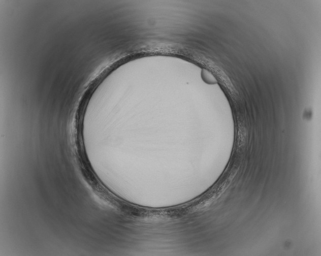 X0000116890674201001191806